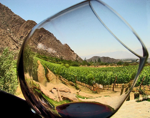El vino mexicano