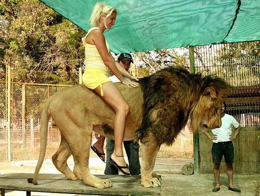 Zoo argentino