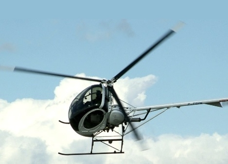 Mosca helicóptero