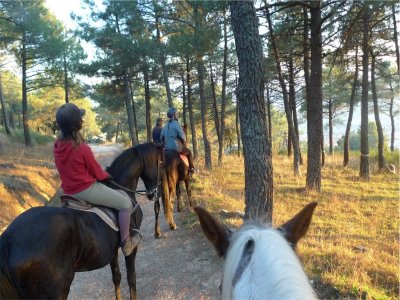 Ruta ecuestre PN Cumbres del Guadarrama 60 minutos