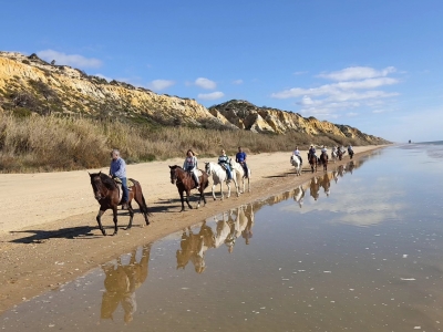 Cabalgamarra miradores y playas de Doñana 2h
