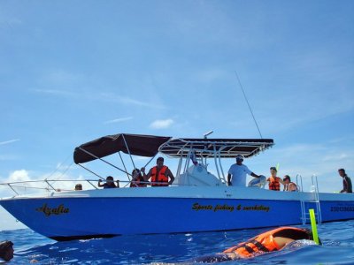 EcoColors Snorkel