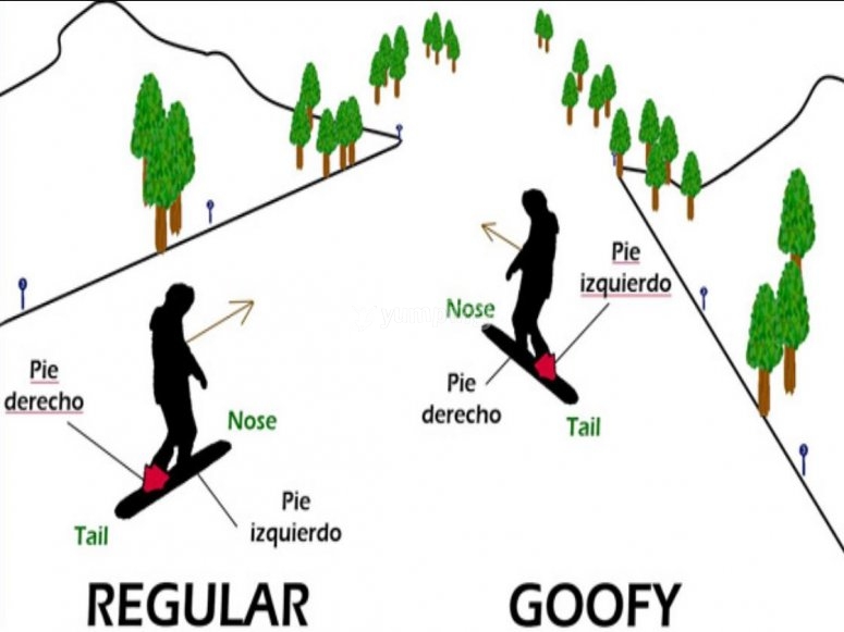 Ser Regular o Goofy /tb_c-1073-ser-regular-o-goofy1600161307.5005.jpg