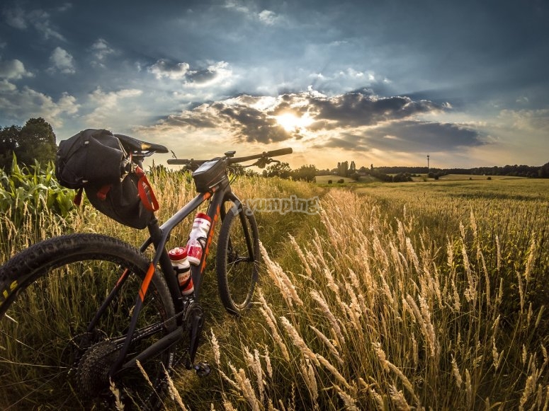 Las mejores mountain bike del mercado