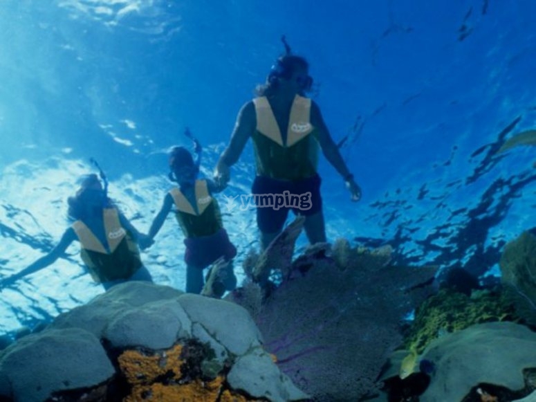 Snorkel Native Park, precios y reservas 2024