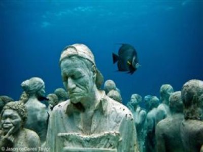 Tour de Snorkel en el museo subacuático