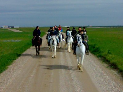 Cabalgamarra por la Ribera del Genil. 2 h