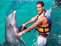  Interaction with dolphins 