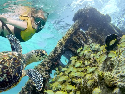 Snorkeling tour en la Riviera Maya