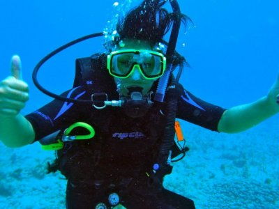 Schnorcheln Sie, um Fächerfische auf der Isla Mujeres zu fotografieren