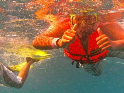 Schnorcheltour, um den Segelfisch auf der Isla Mujeres zu sehen