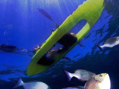 Tour de Kayak con fondo de cristal y snorkel