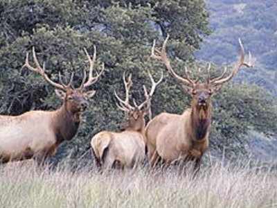Rancho La Tinaja