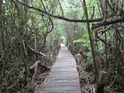 Ecoturismo Yucatán