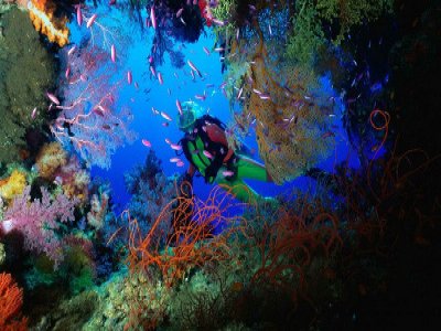 Buceo 2 tanques en arrecifes de Mahahual