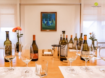 Visita a bodega con camarra de 3 vinos en Rías Baixas