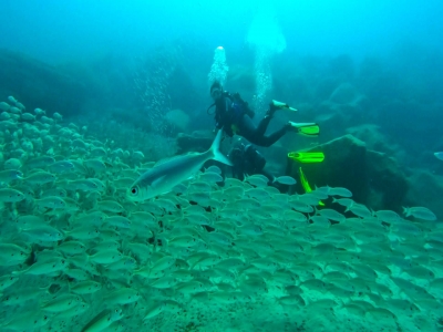Bautismo de buceo en la Costa de Arona