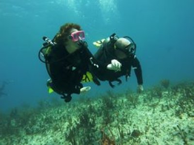 Paquete aventura: Buceo en arrecife + Buceo Cenote