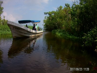 Botetur