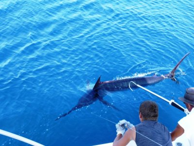 Alquiler barco charter para pesca o paseo 4 hrs