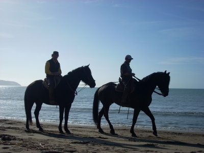 Cabalgatas por la playa Calabria