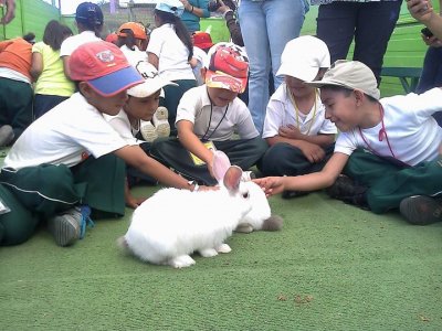 Visitas Escolares