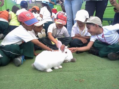 Schulbesuche auf einem Bauernhof in Tlalpan, 4 Stunden