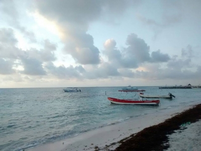 Dorado Buceo Caribe