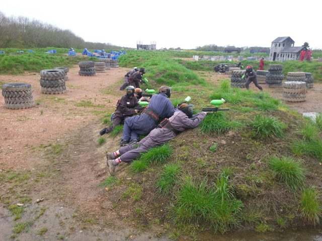  Sin árboles para esconderse 