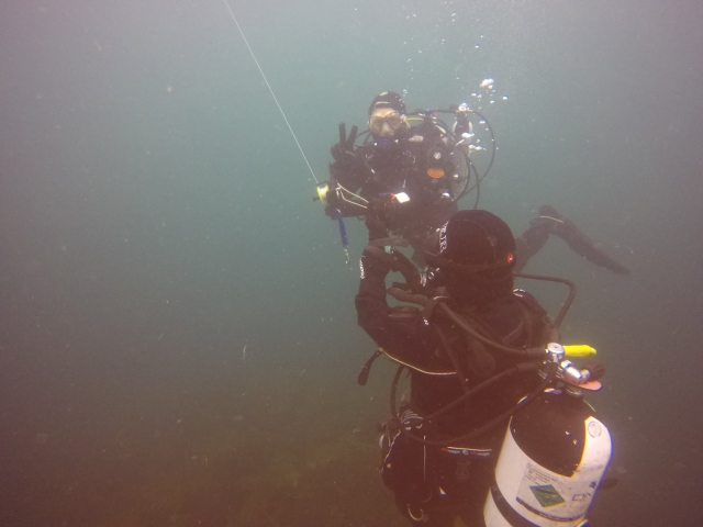  Obtén habilidades de buceo.