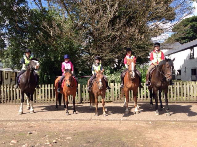  Hermosos caballos 