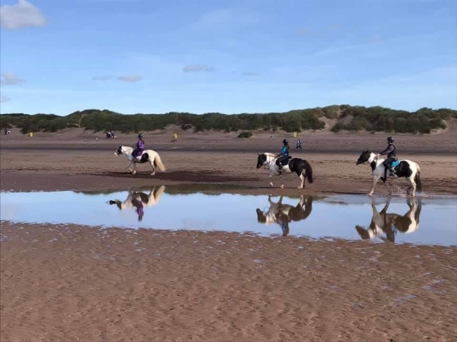  Únele a nuestras sesiones de equitación 