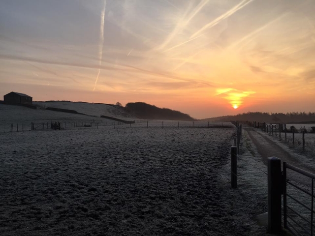  Estamos abiertos todo el año. 