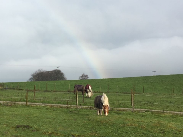  ¡Es salvaje en el Centro de Equitación Smeltings Farm! 