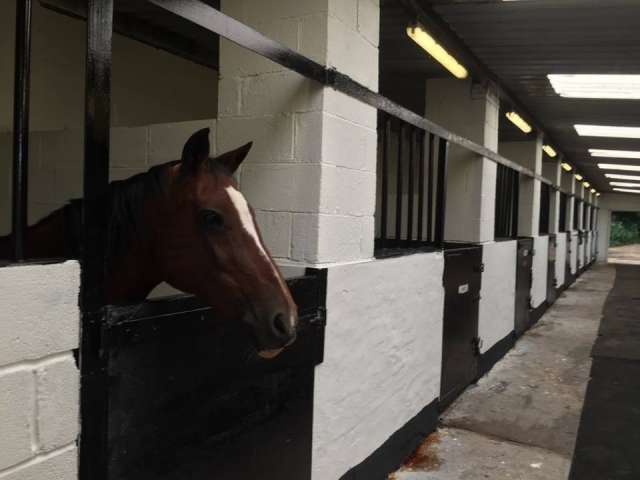  B&W Stables 