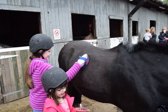  Responsabilidades docentes 