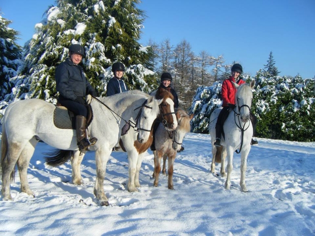  Equitación en nieve 