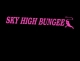 Sky High Bungee