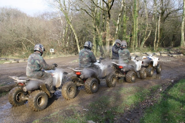  Explorando la naturaleza alrededor 