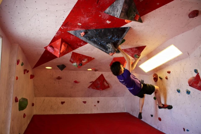  Entrenamiento sencillo para principiantes 