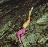  Las nueces no son la única fruta 