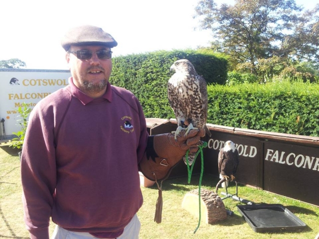  Halcón y un águila calva 