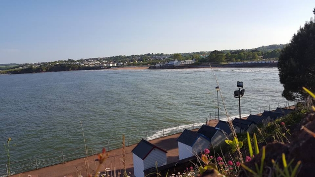  ¡Mire nuestro hermoso entorno!