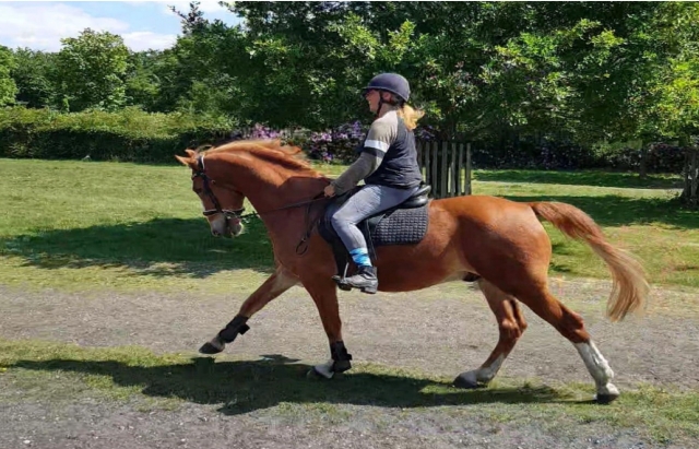  Subir a caballo en Kingston 