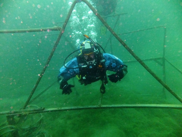  Buceo 