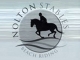 Nolton Stables Beach Riding Holidays