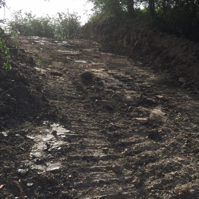  ¿Miedos o adrenalina? 