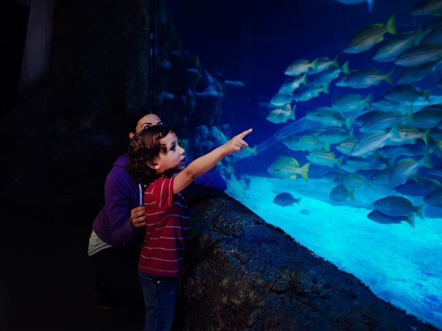  Un gran día en familia