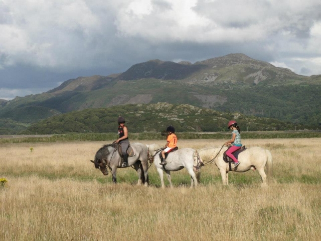  Hermoso paisaje para trekking con Bwlchgwyn Farm 