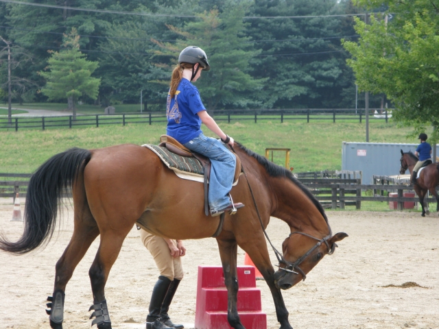  Hacking en Gwydyr Stables Riding & Trekking Stables 